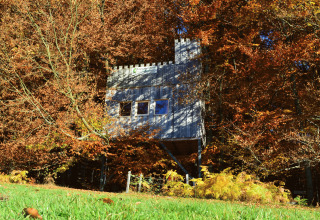 Treehouse Baumhaushotel Solling en el bosque otoñal, alojamiento glamping rodeado de hojas de colores.