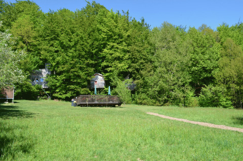 Boomhut glamping accommodatie verborgen in het groen bij Baumhaushotel Solling in Nedersaksen, zonnige dag.