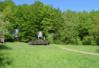 Alojamientos glamping en casas en los árboles en Baumhaushotel Solling, rodeados de bosque verde y sol.