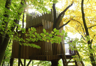 Baumhaushotel Solling - Boomhut Nedersaksen: gemütliches Baumhaus zwischen grünen und gelben Blättern.