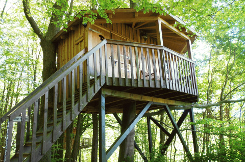 Baumhaushotel Solling, avontuurlijke boomhut glamping accommodatie in Nedersaksen met houten terras.