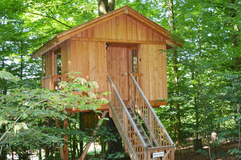 Treehouse in the woods, Baumhaushotel Solling - Boomhut Nedersaksen, glamping or camping accommodation.