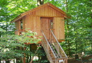 Casa sull'albero nel bosco, Baumhaushotel Solling - Boomhut Nedersaksen, alloggio glamping o campeggio.