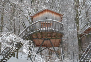 Baumhaushotel Solling, casa sull’albero in foresta innevata della Bassa Sassonia, esperienza glamping.