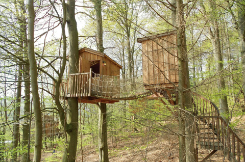 Alojamiento glamping Baumhaushotel Solling, cabañas en los árboles y puente colgante en el bosque