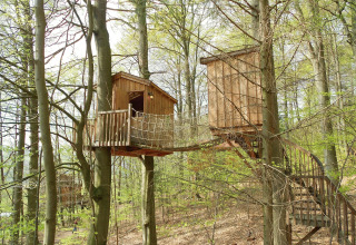 Baumhaushotel Solling in Niedersachsen, Baumhäuser verbunden mit Hängebrücke, Camping im Wald