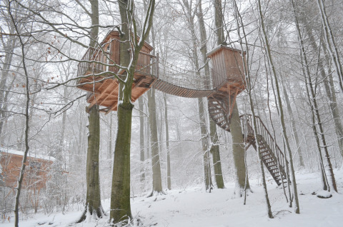 Deux cabanes dans les arbres reliées par un pont suspendu dans une forêt enneigée à Baumhaushotel Solling.