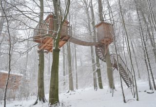 Dos casas en el árbol conectadas por un puente colgante en un bosque nevado en Baumhaushotel Solling.