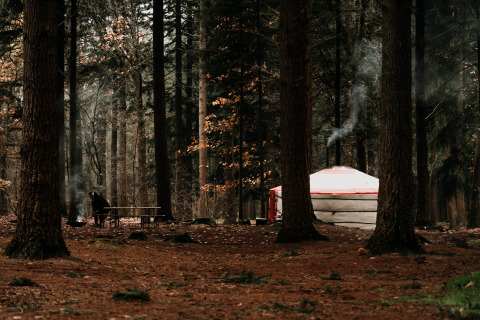 Een traditionele yurt met rook in het bos van Drenthe, met een persoon bij een picknicktafel in de buurt.