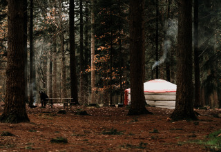Een traditionele yurt met rook in het bos van Drenthe, met een persoon bij een picknicktafel in de buurt.