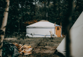 Een witte yurt bij Winterwoods - Yurts Drenthe, omgeven door bomen, ideaal voor glamping of kamperen.