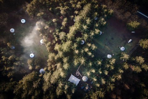 Luchtfoto van Winterwoods - Yurts Drenthe met glamping-yurts verspreid door het bos tussen de bomen.