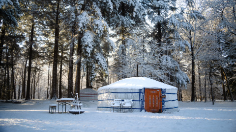 Sneeuwrijk bos met een traditionele yurt, glamping accommodatie Winterwoods - Yurts Drenthe in de winter.