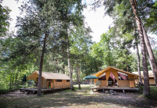 Glamping accommodatie in het bos bij Huttopia Bourg-Saint-Maurice - Glamping Savoie, met luxe tenten.