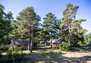 Alloggio glamping presso Huttopia Bourg-Saint-Maurice in Savoia, con tende immerse tra alberi alti.