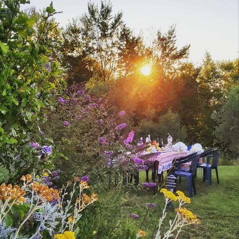 Tavolo all'aperto apparecchiato al tramonto tra fiori selvatici presso Agriturismo Camping Le Marche & Villa Ti Amo - Glamping Le Marche.