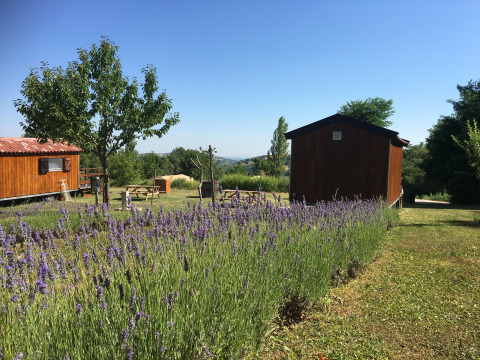 Hébergement Glamping Le Marche avec cabanes en bois, champ de lavande et paysage chez Agriturismo Camping Le Marche.