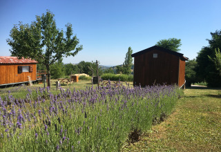 Glamping Le Marche accommodatie met houten hutten, lavendelveld en uitzicht bij Agriturismo Camping Le Marche.
