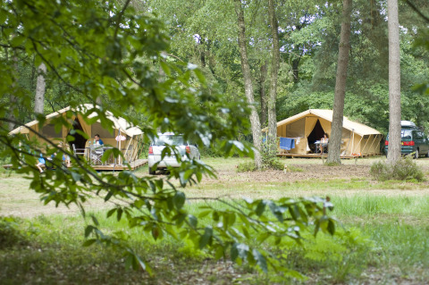 Due tende glamping e auto presso Huttopia Lac de Sillé, Glamping Pays de la Loire, immerse nel bosco.