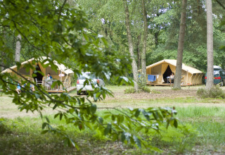 Dos tiendas de glamping y autos en Huttopia Lac de Sillé en Pays de la Loire, rodeados de bosque.