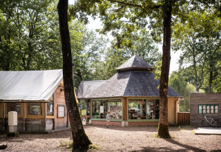 Hébergement glamping à Huttopia Lac de Sillé, entouré de forêt dans les Pays de la Loire, France.