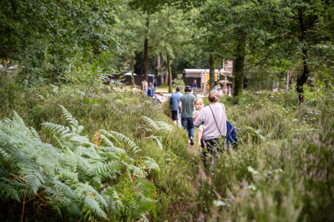 Familias caminan por un sendero verde hacia el glamping Huttopia Lac de Sillé, Pays de la Loire.