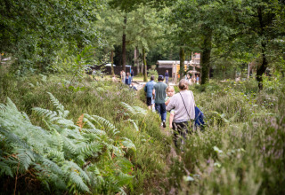 Families walk on a lush forest path towards glamping accommodations at Huttopia Lac de Sillé, Pays de la Loire.