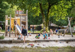 Niños juegan en un parque infantil y en la arena bajo árboles en Huttopia Lac de Sillé glamping.