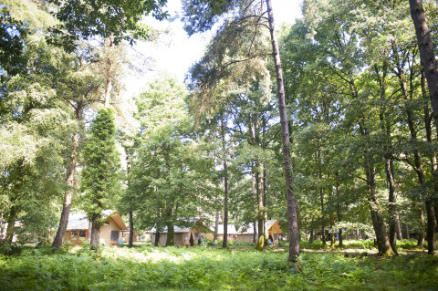Tentes glamping à Huttopia Lac de Sillé en Pays de la Loire, France, entourées par une forêt verdoyante