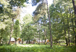 Glamping-Unterkünfte bei Huttopia Lac de Sillé, Pays de la Loire, inmitten eines grünen Waldes