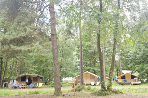 Hébergement glamping en forêt à Huttopia Lac de Sillé, France, avec tentes et mobilier de plein air.
