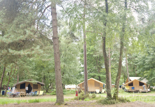 Glamping-indkvartering i en skov ved Huttopia Lac de Sillé i Frankrig med telte og udendørs møbler.