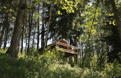 Alojamiento en casa del árbol en el bosque del Nature Resort Natterer See - Safarilodges Tirol, rodeado de naturaleza.