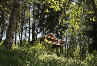 Baumhaus inmitten des Waldes im Nature Resort Natterer See - Safarilodges Tirol, umgeben von Natur.