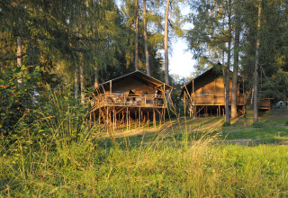 Glamping accommodation in the woods at Nature Resort Natterer See - Safarilodges Tirol. Safari tents on stilts.