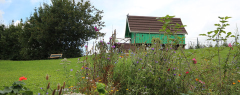 Glamping accommodation at Camping Naumburg in Hessen, green cabin and wildflowers on a grassy meadow.