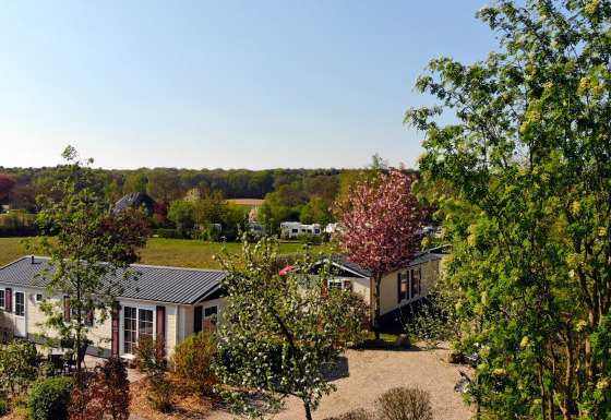 Glamping accommodation Campingpark Kerstgenshof - Landhuis Chalets Germany surrounded by nature and trees.