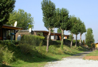 Glamping indkvartering ved Campingpark Lindelgrund - Chalets Rheinland-Pfalz med hytter omgivet af træer.