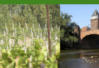Banner von Campingpark Lindelgrund - Chalets Rheinland-Pfalz mit Natur, Fluss, Blumen und Brücke in Rheinland-Pfalz.