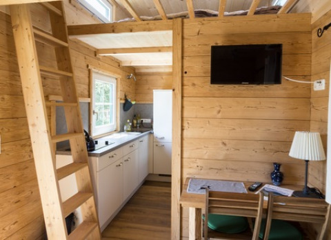 Interior de Seecamping Appesbach Tiny House Austria, con paredes de madera, cocina y escalera al altillo.