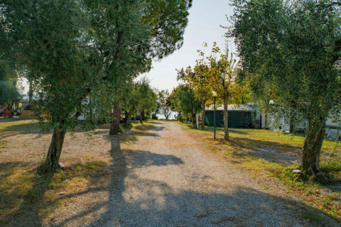 Gravel path through shaded glamping site with trees and tents, Vacanze Glamping Boutique at Lake Garda.