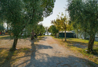 Gravel path through shaded glamping site with trees and tents, Vacanze Glamping Boutique at Lake Garda.