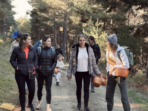 Gruppo di amici cammina con cestini nel bosco vicino a Basecamps - Cabins Girona, alloggio glamping.