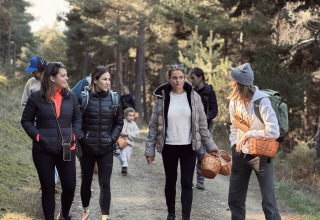 Personas caminan con cestas por el bosque cerca de Basecamps - Cabins Girona, alojamiento de glamping.