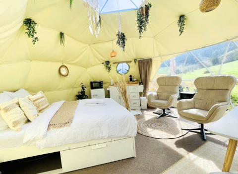 Alloggio glamping moderno con letto grande, poltrone e piante presso Glamping Hohe Wand - De dome.
