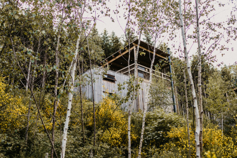 Glampingaccommodatie Nutchel in de Ardennen, België, tussen berkenbomen en gele bloemen in het bos.