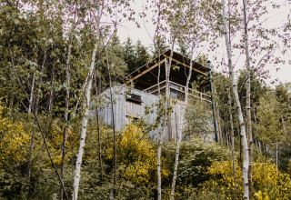Glamping Nutchel nelle Ardenne, Belgio, immerso tra betulle e fiori gialli in un ambiente boschivo.