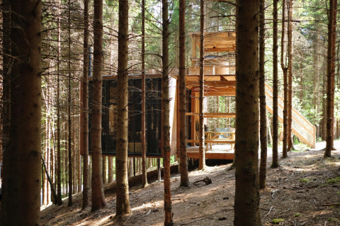 Glampingaccommodatie Nutchel lodges in de Ardennen, België, verscholen tussen hoge bomen in het bos.