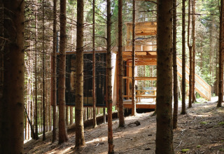 Alojamiento glamping Nutchel lodges en las Ardenas, Bélgica, escondido entre altos árboles del bosque.