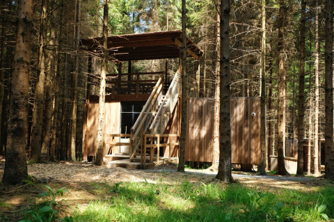 Wooden glamping cabin nestled in a dense forest at Nutchel Lodges in the Ardennes, Belgium, in sunlight.